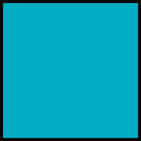 Square 130mm Cards Terrestrial Teal x 10 pack with envelopes