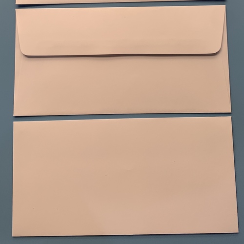 DL White Peel & Seal 100gsm Envelope x 10 Australian Made