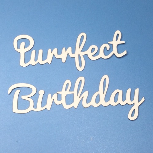 Purrfect Birthday Wording  x Five Phrases